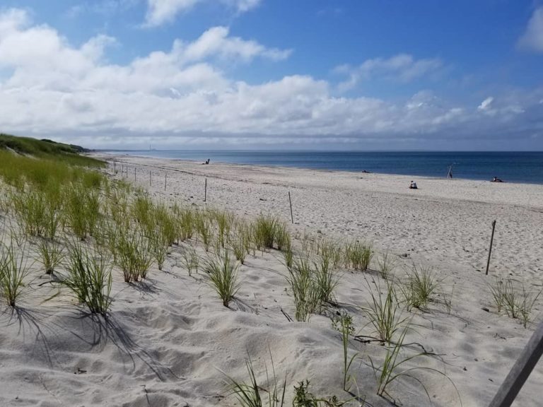 Cape Cod's 69 Most-Instagrammed Places (According to Data)