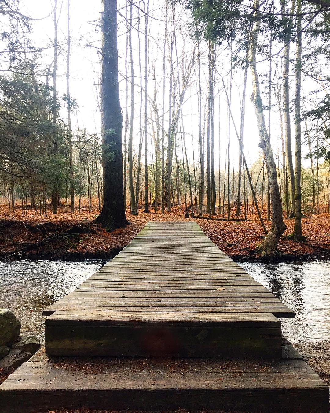 Robert Frost Trail in Massachusetts