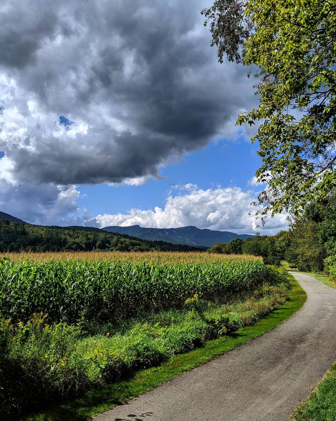 Stowe Recreation Path in Vermont