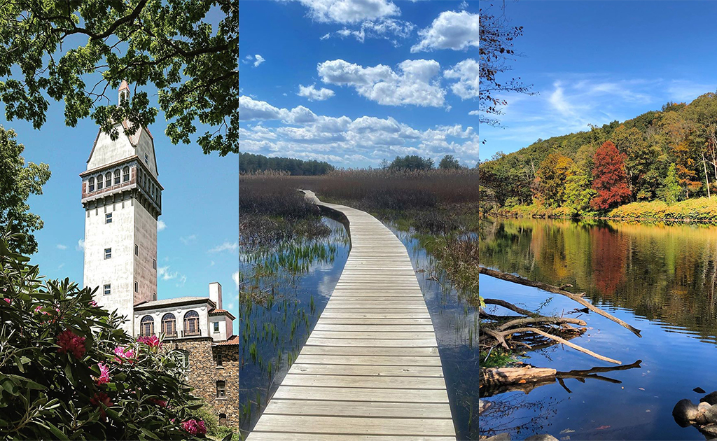 Connecticut’s 20 Most Popular Hikes (According to Google)
